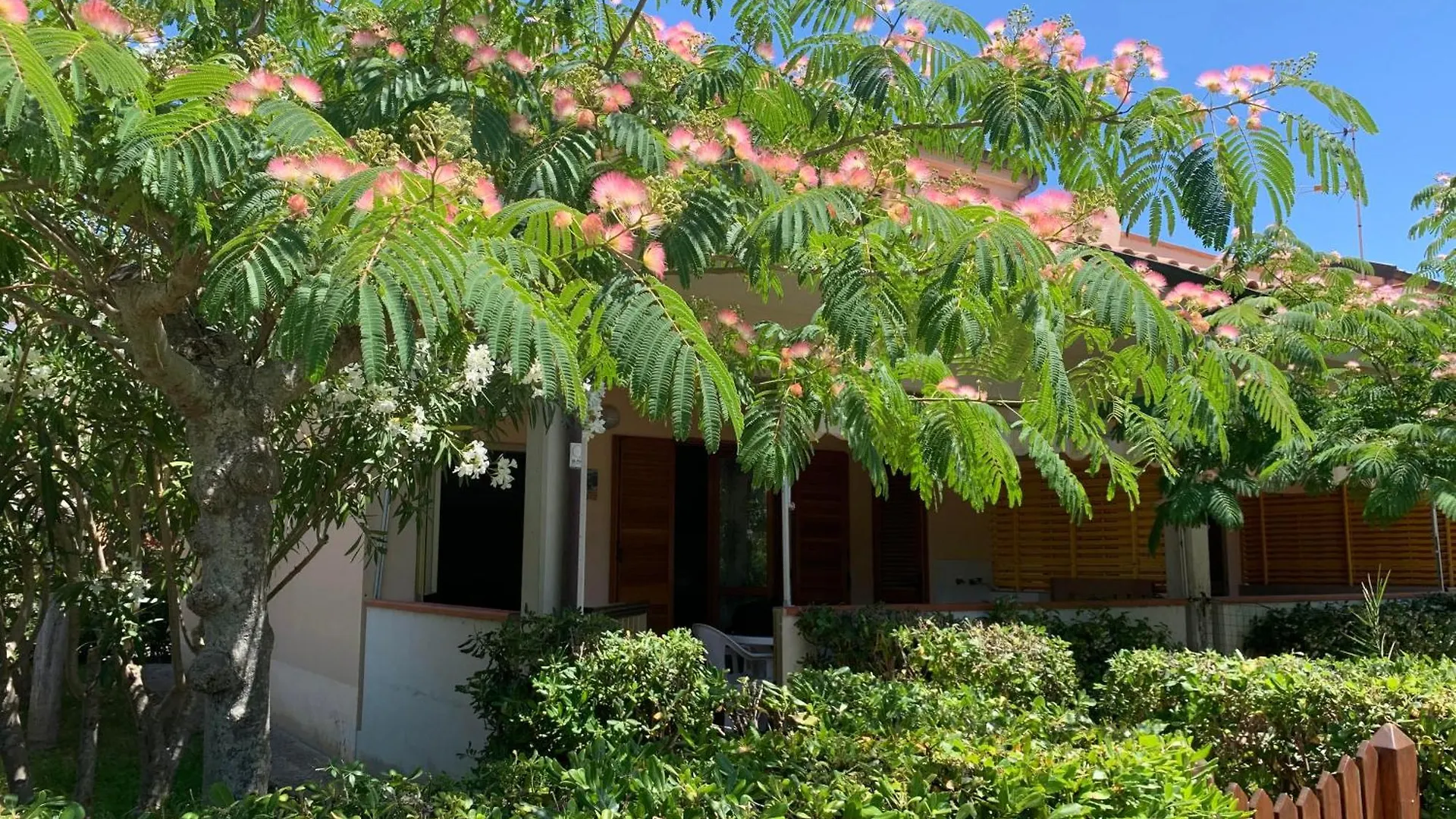 Villetta Albizia Marina di Castagneto Carducci Italy